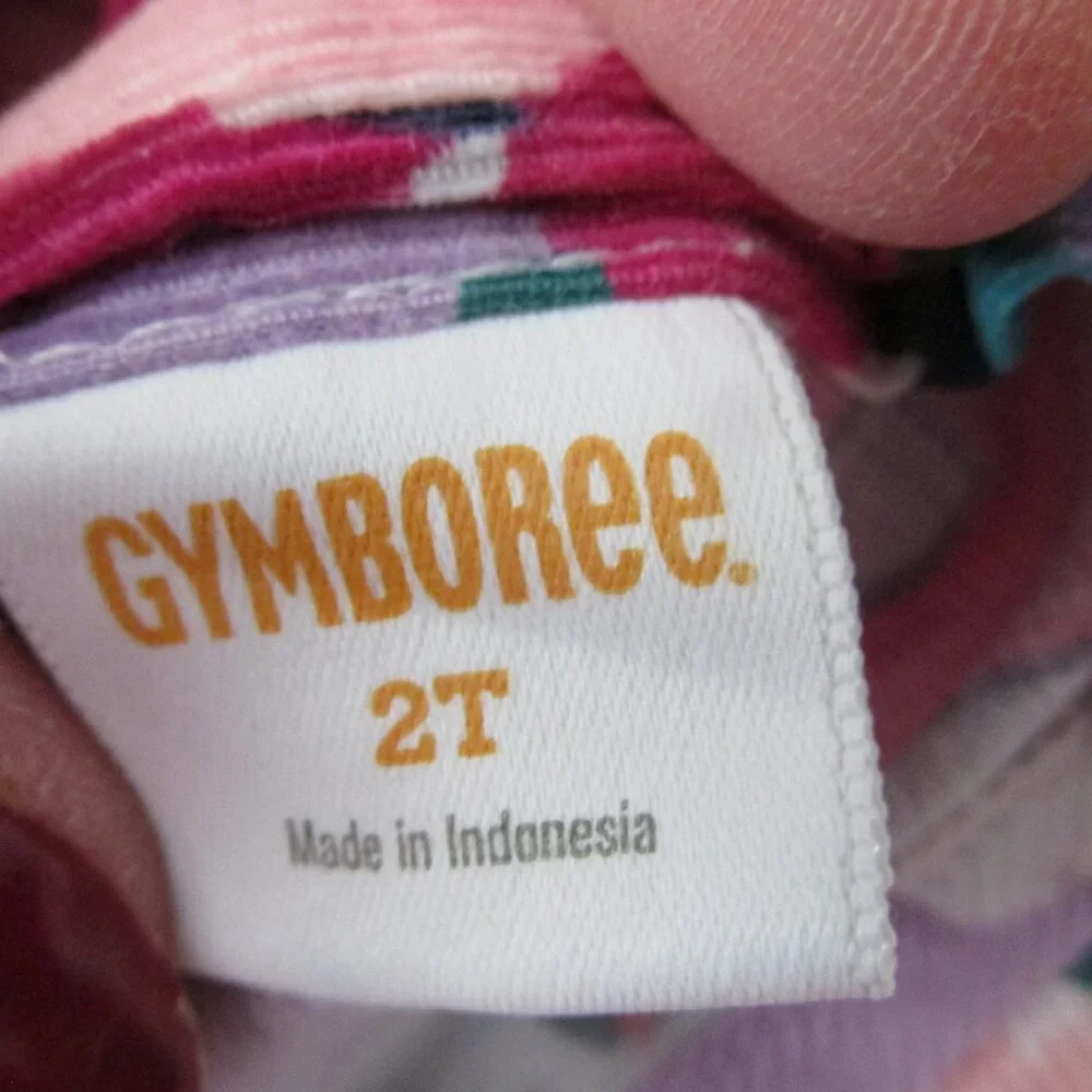 Gymboree Collared Dress Toddler Girls Size 2T Pink Floral Button Back Cap Sleeve
